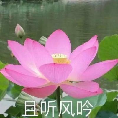 战斗模拟器战争游戏下载